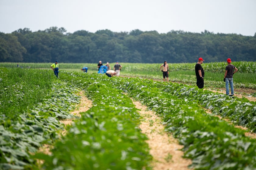 Miejska Farma Wrocławia
